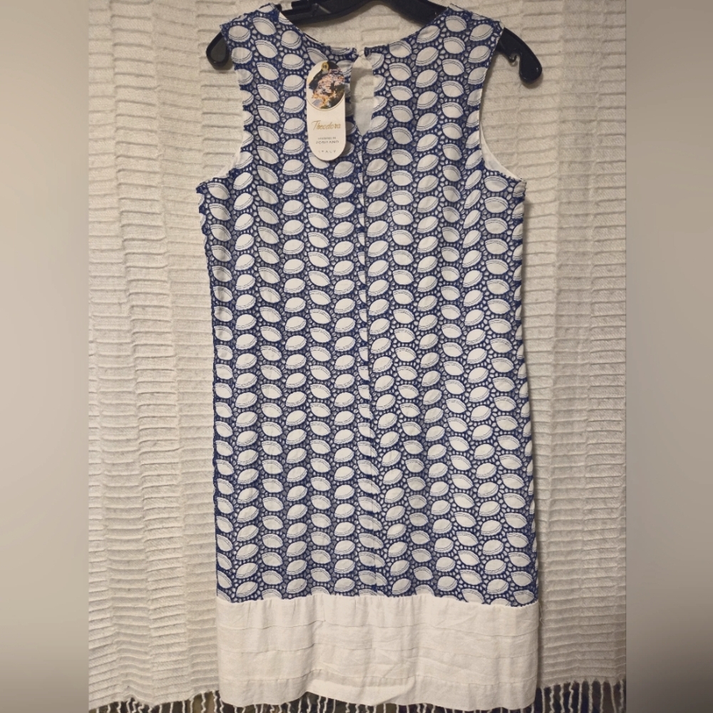 Theodore Dress! Size Small. Color is blue and white.